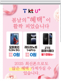 롤블라인드-3723