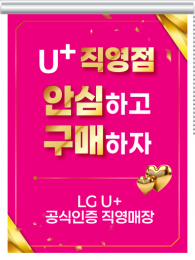 롤블라인드-3743