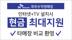 명함-311